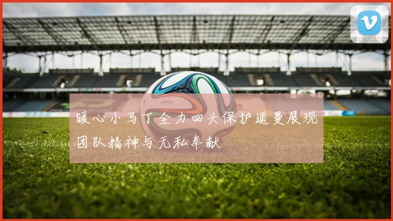 暖心小马丁全力回头保护道曼展现团队精神与无私奉献