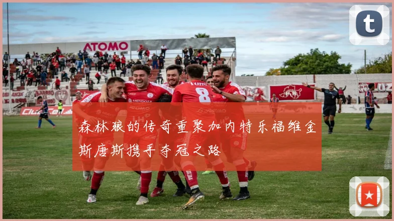 森林狼的传奇重聚加内特乐福维金斯唐斯携手夺冠之路